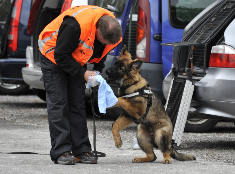 Tschei 6 Monate alt (Start)